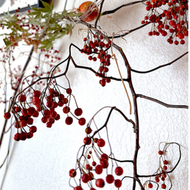 syutmmさんの部屋