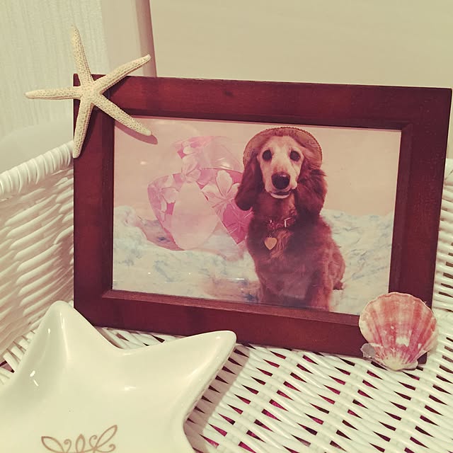 maiteeさんの実例写真