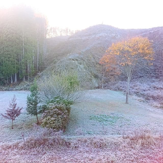 strawberry_jellyさんの実例写真