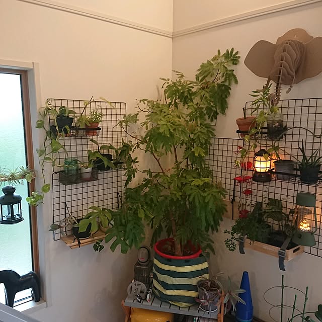 urchinさんの部屋