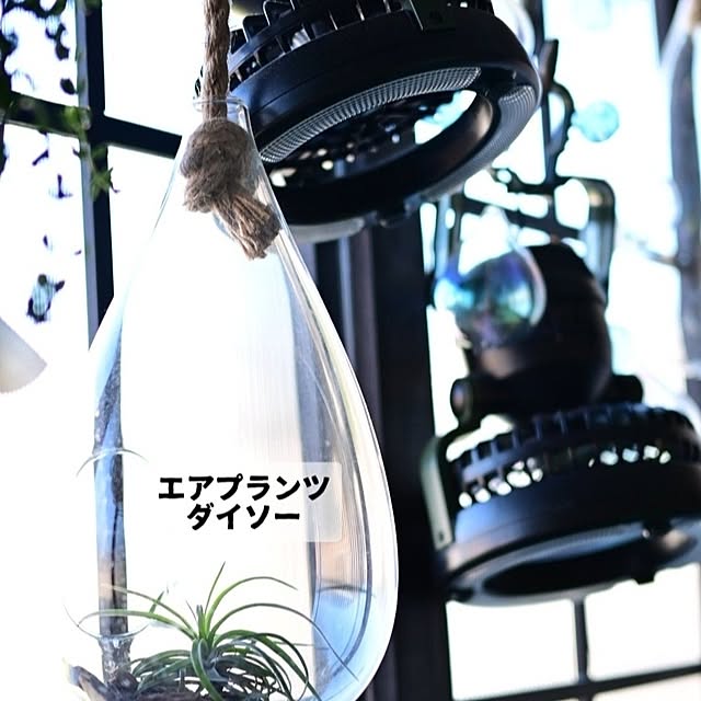 CYNOSさんの部屋