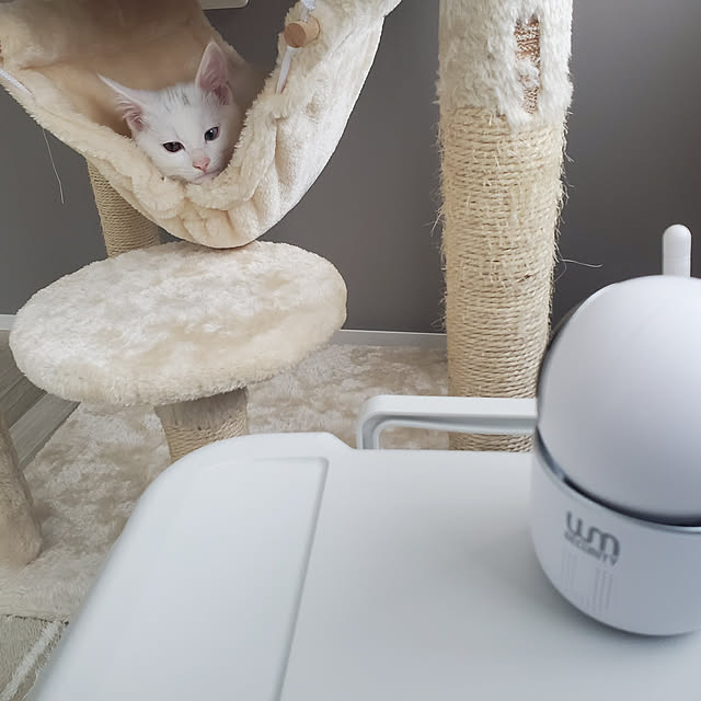 lilyさんの実例写真