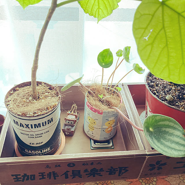 heidiさんの部屋