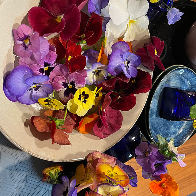 namecoさんの部屋