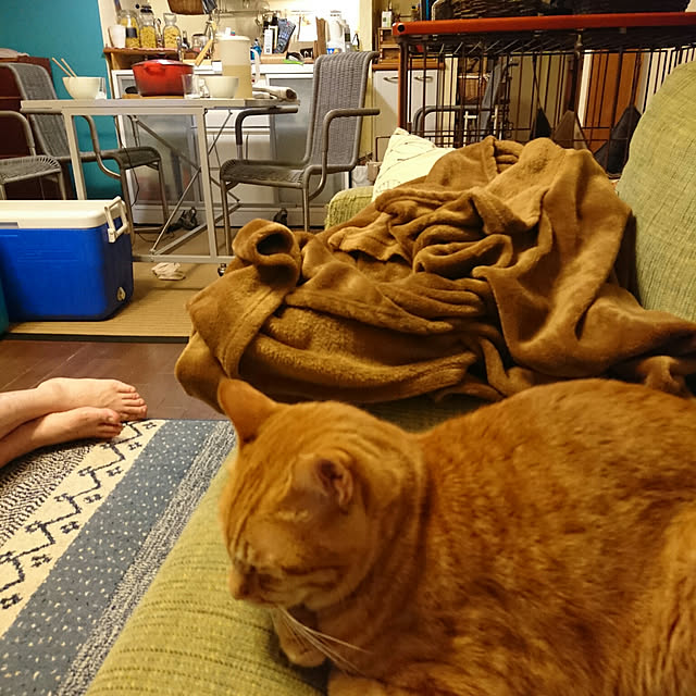 okyosan101さんの実例写真