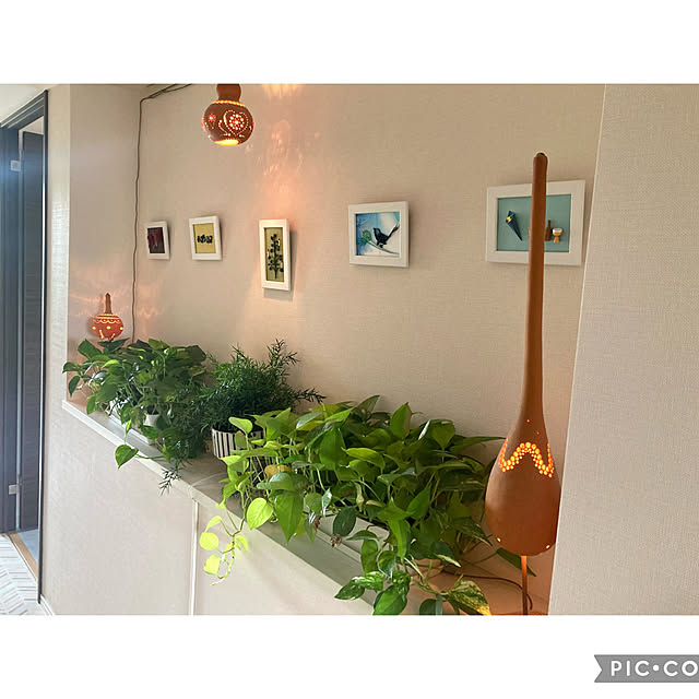 marukoさんの部屋