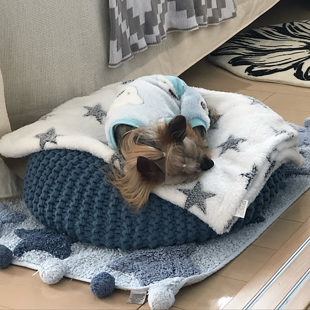 loliontoaliceveさんの実例写真