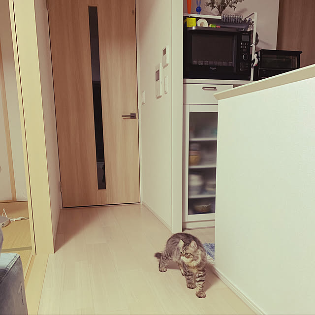 musamugiさんの実例写真