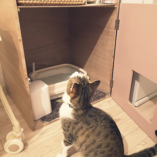aroroさんの実例写真