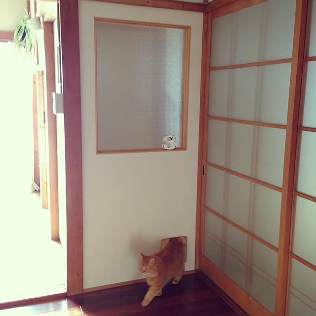 maluさんの実例写真