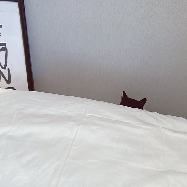 nekomiさんの実例写真