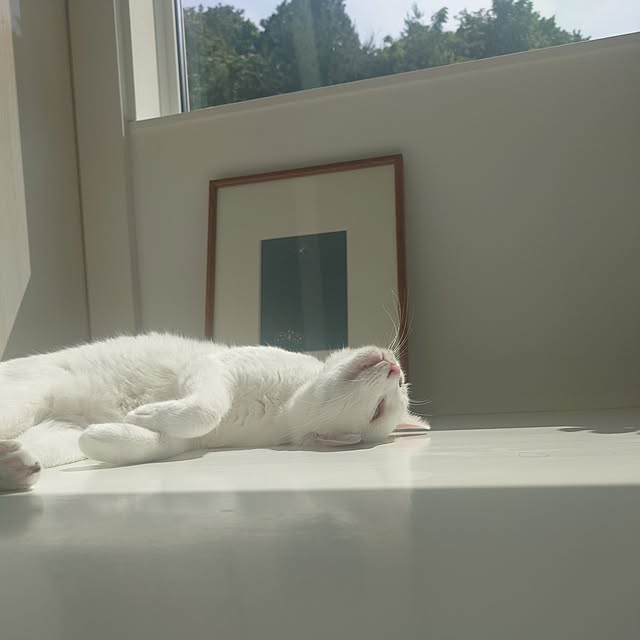 Blackcatさんの部屋