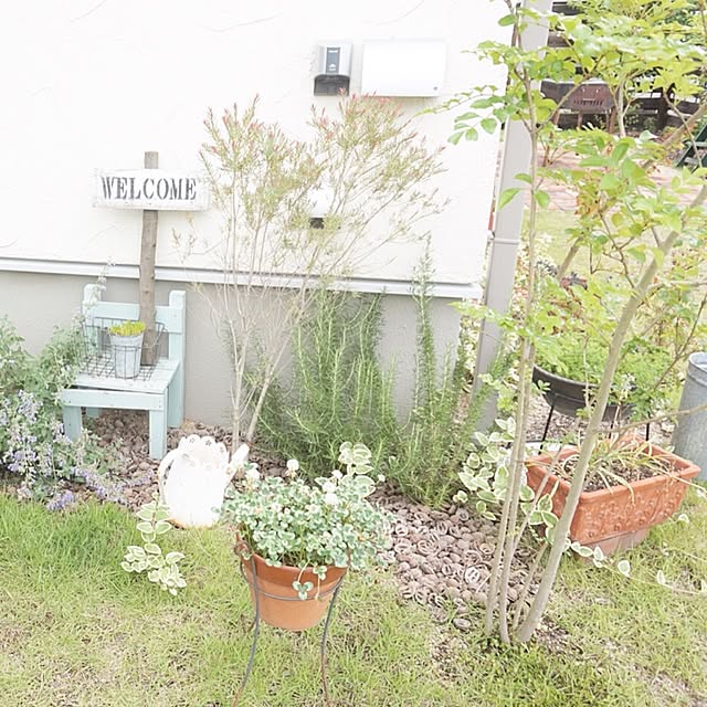 miyu327さんの実例写真