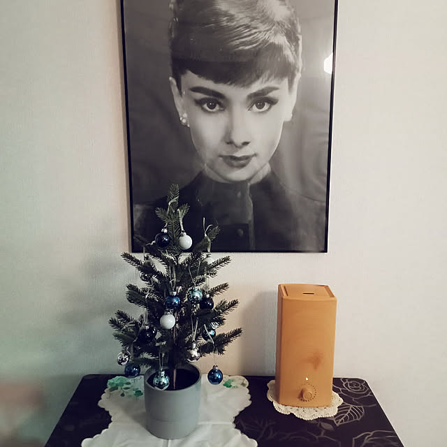 moruさんの実例写真