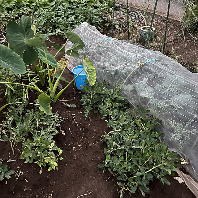 EMIKOさんの部屋