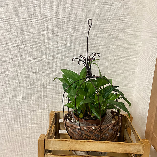 m-poem-cooさんの部屋