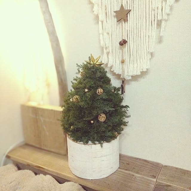 部屋全体/フレッシュクリスマスツリー/フレッシュクリスマス/フレッシュクリスマスリース/クリスマスディスプレイ...などのインテリア実例 - 2024-11-09 13:08:03