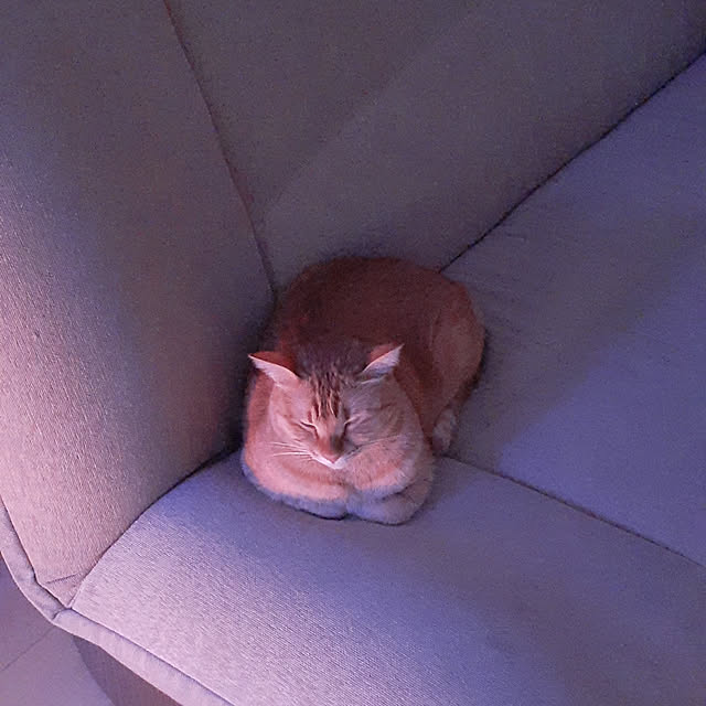 amtさんの実例写真