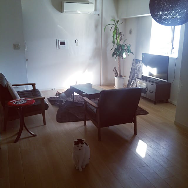 noguchiken0102さんの実例写真