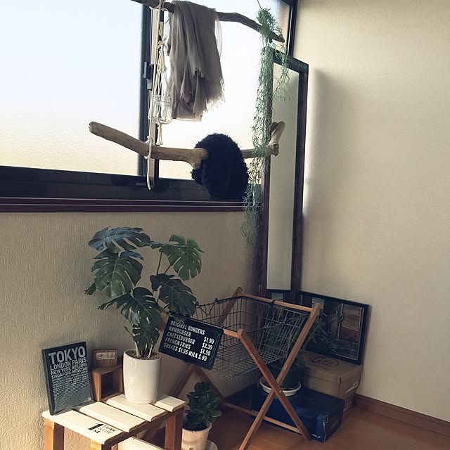 y.y...shiさんの実例写真
