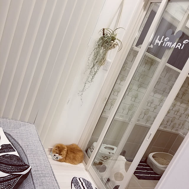 Arahimaさんの実例写真