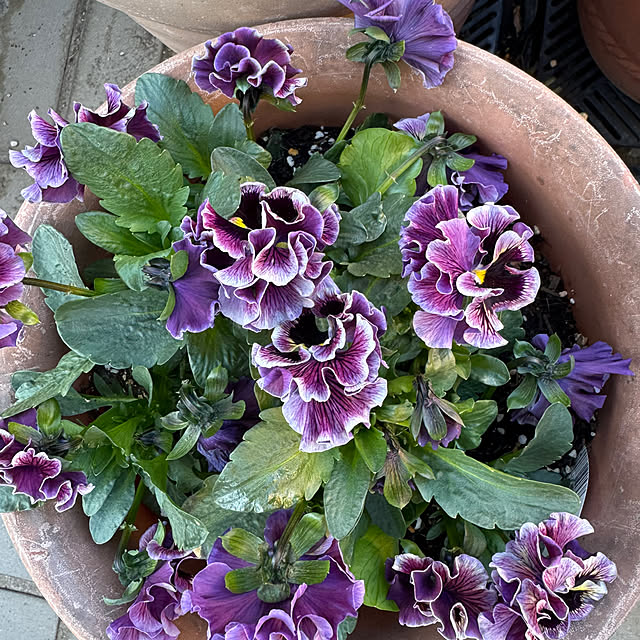 mamizaさんの部屋