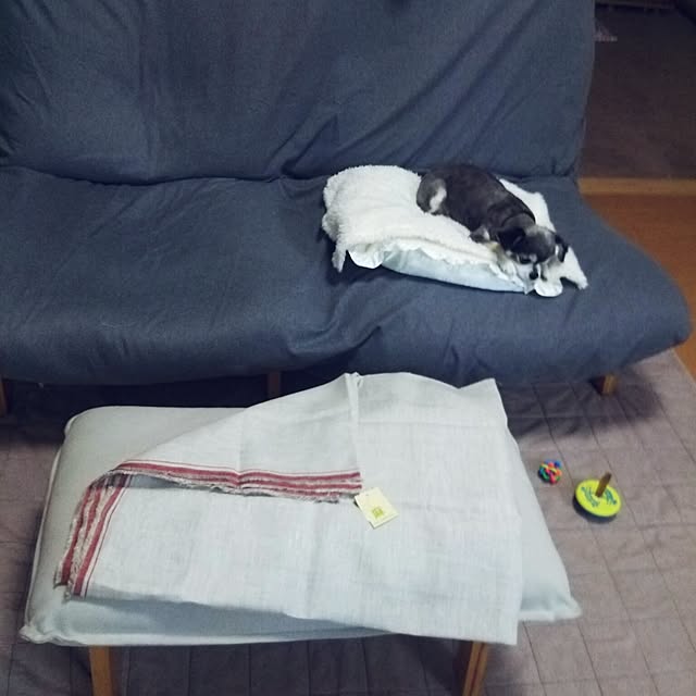 satominさんの実例写真