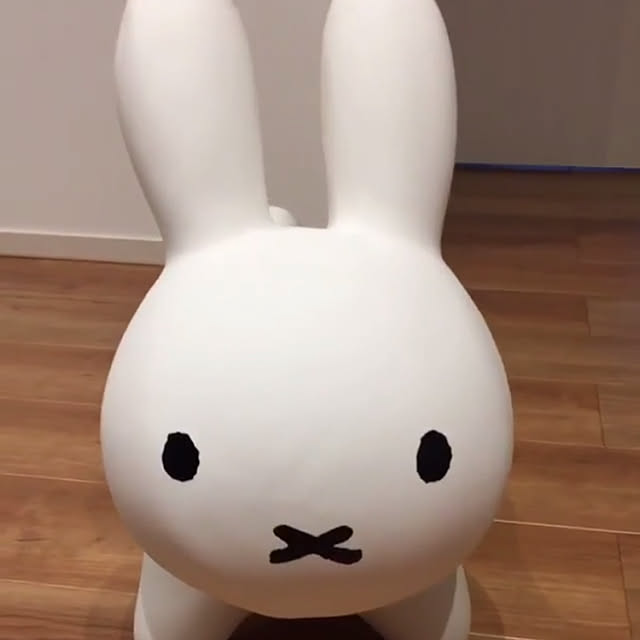 smapinkさんの実例写真
