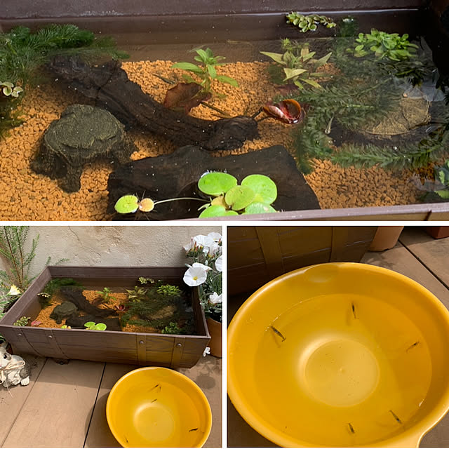 tabasaさんの実例写真