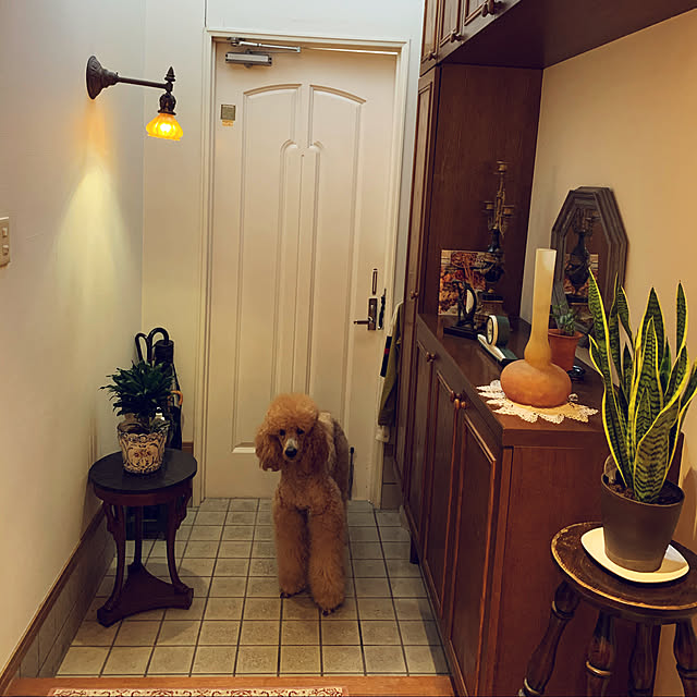 shojiさんの実例写真