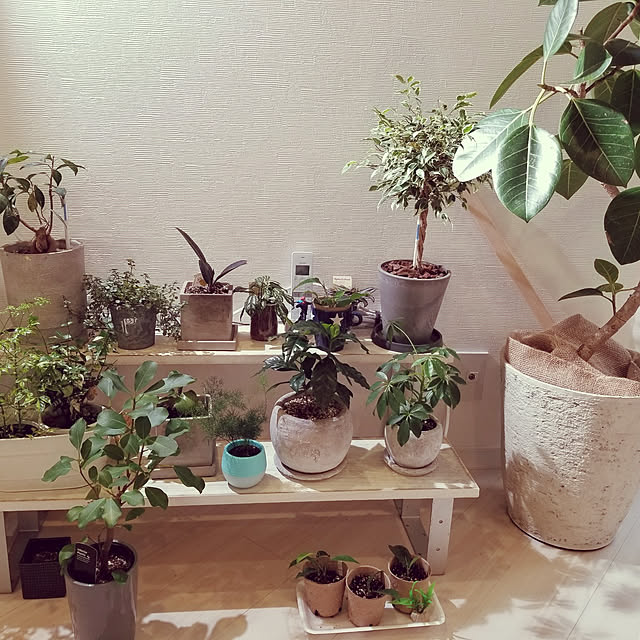 karotenさんの実例写真