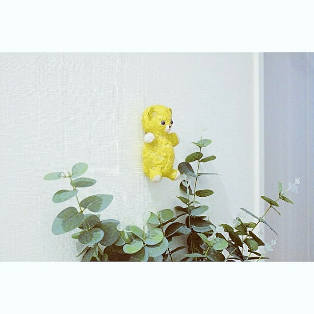 susaayuさんの実例写真