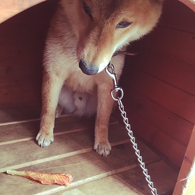 luckyさんの実例写真