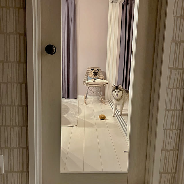 onsen-_-tamagoさんの部屋