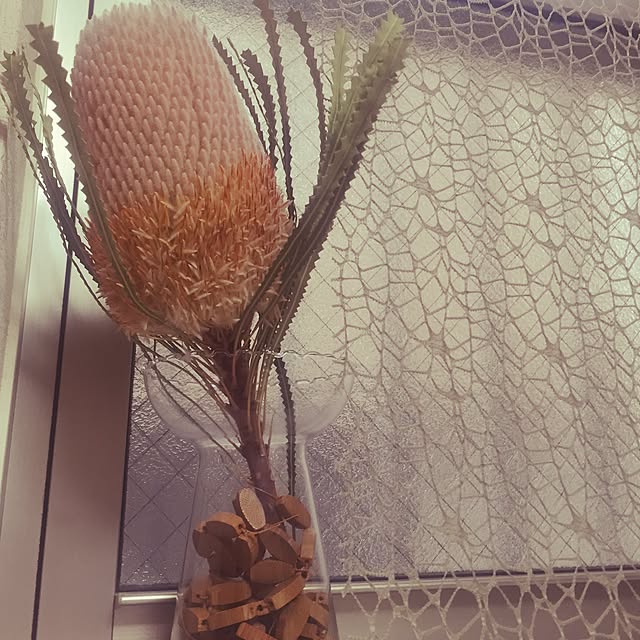 adgjmptwさんの実例写真