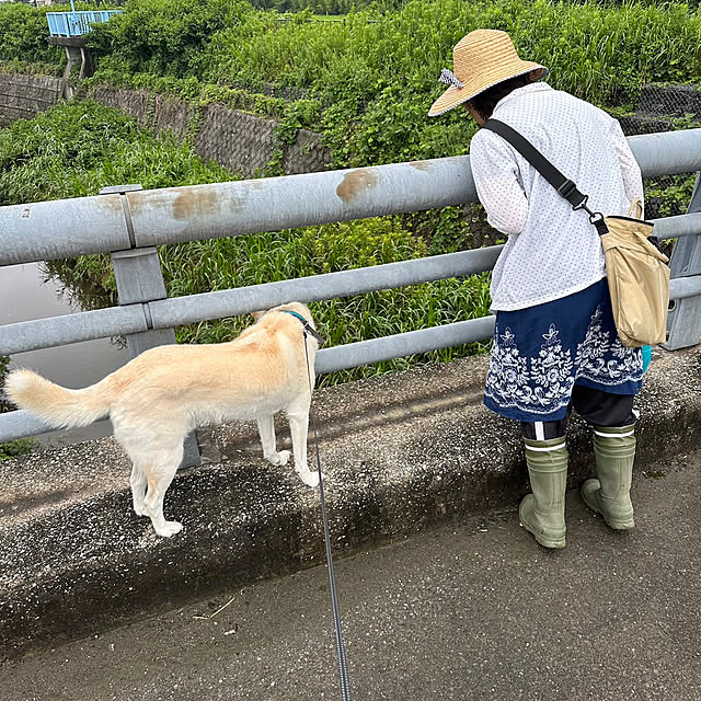 tanboさんの部屋