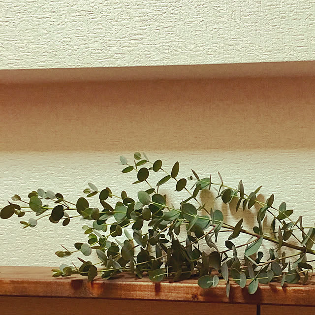 rieさんの実例写真