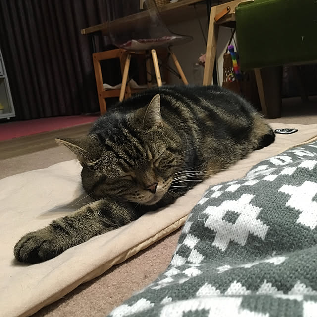 mikomaruさんの実例写真