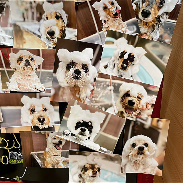 実例写真