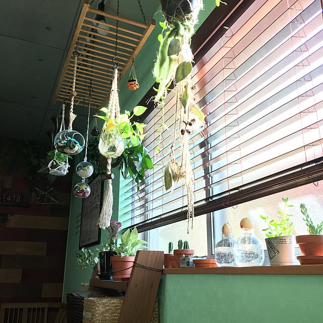 ANNAさんの実例写真