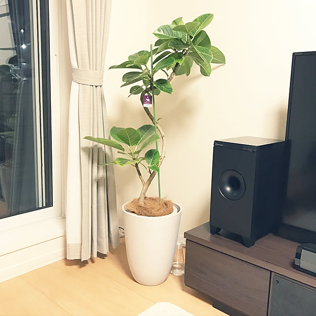 sawa_kouさんの実例写真