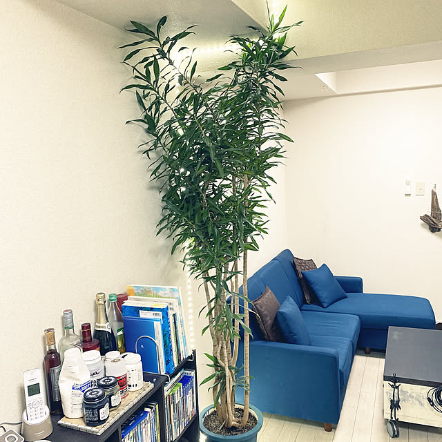kaさんの実例写真