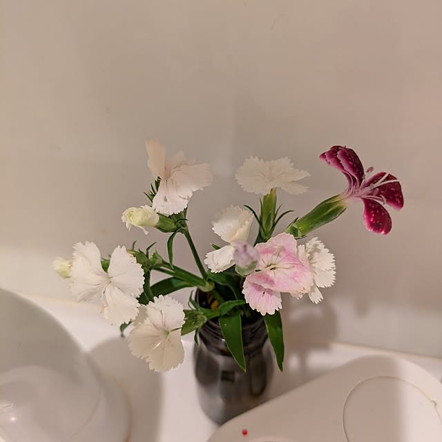 minnieさんの部屋