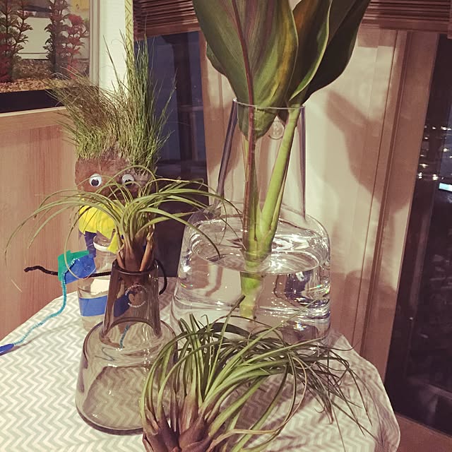 suhtonさんの実例写真