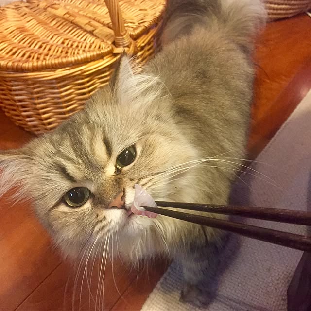 butachanさんの実例写真