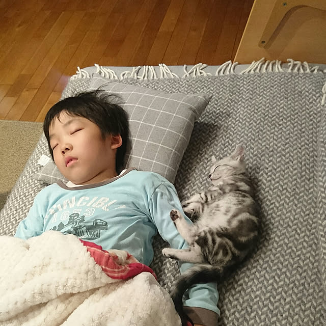 asmaさんの実例写真