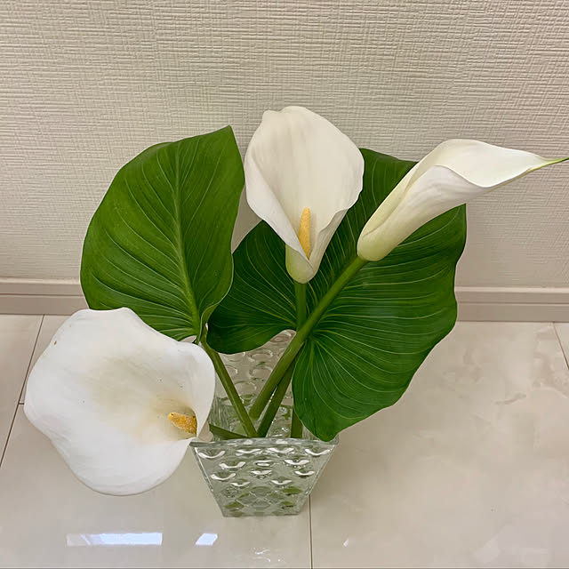 luluさんの実例写真