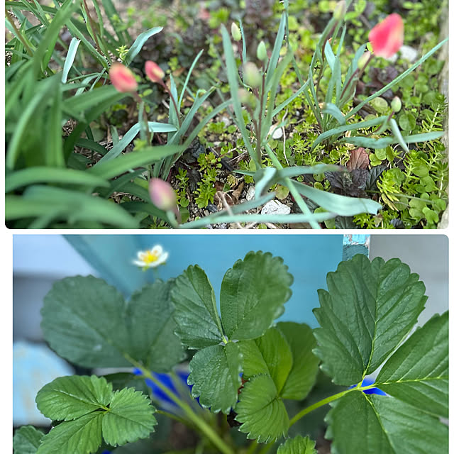 Fumiさんの部屋