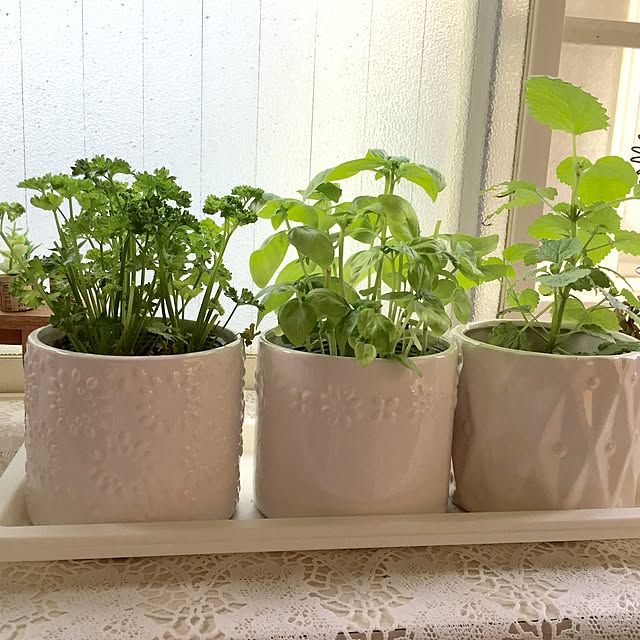 mogurinさんの実例写真