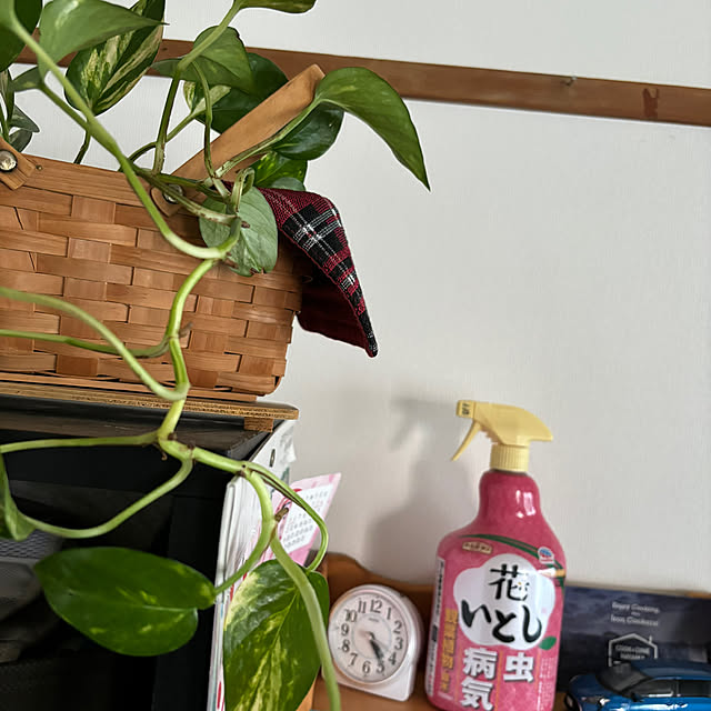 syutmmさんの部屋